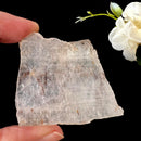 Cacoxenite Slice (Raising Consciousness)