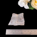 Cacoxenite Slice (Raising Consciousness)