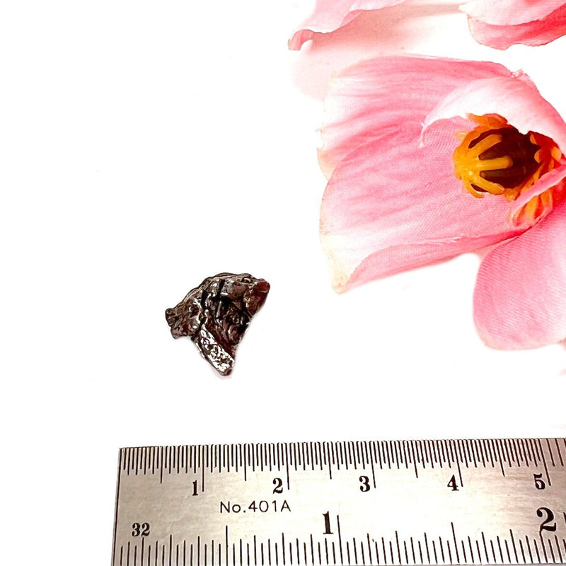 Meteorite Campo del Cielo