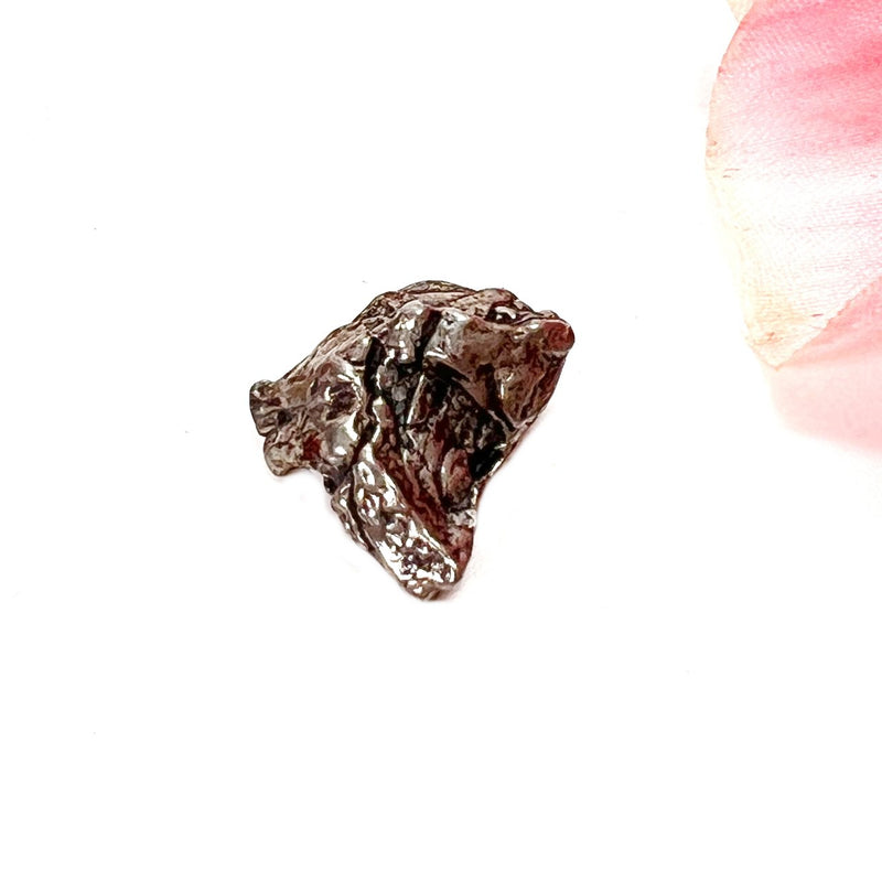 Meteorite Campo del Cielo