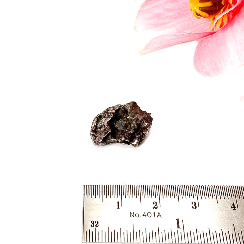 Meteorite Campo del Cielo