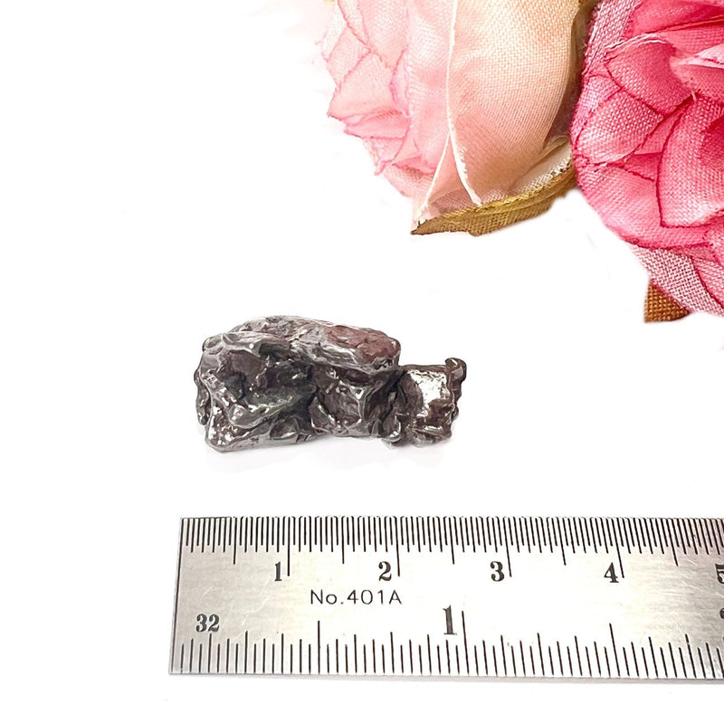 Meteorite Campo del Cielo