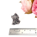 Meteorite Campo del Cielo