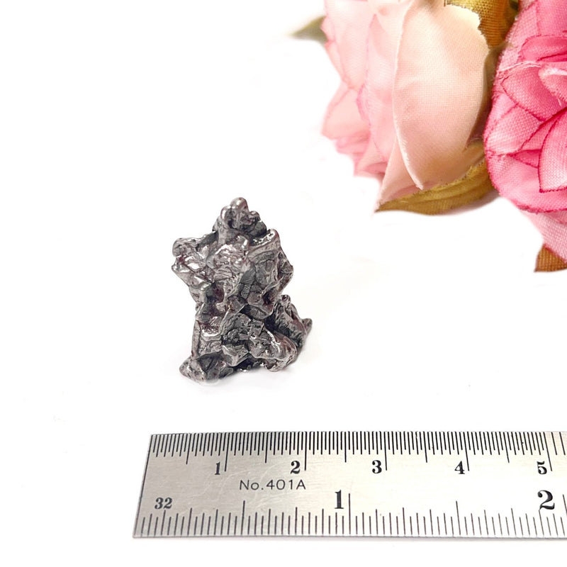 Meteorite Campo del Cielo