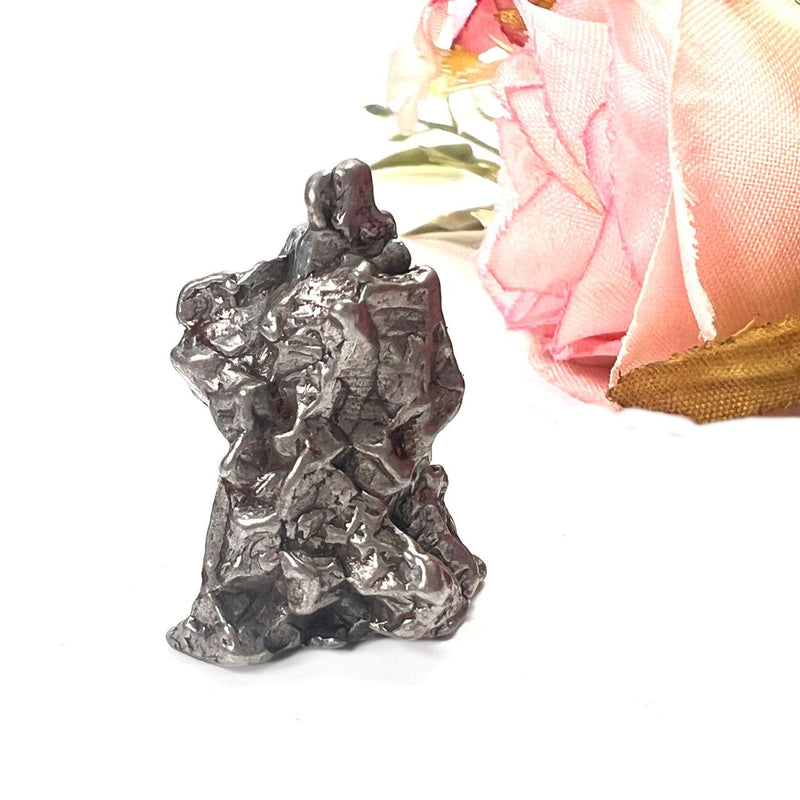 Meteorite Campo del Cielo