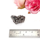 Meteorite Campo del Cielo