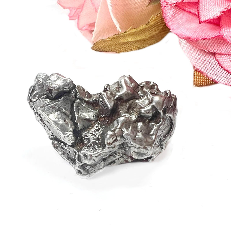 Meteorite Campo del Cielo