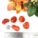 Carnelian Tumble (Vitality and Creativity)