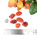 Carnelian Tumble (Vitality and Creativity)