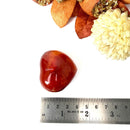 Carnelian Heart (Creativity & Passion)