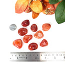 Carnelian Tumble (Vitality and Creativity)