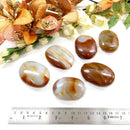 Carnelian Palmstone (Creativity & Vitality)