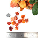 Carnelian Tumble (Vitality and Creativity)