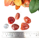 Carnelian Tumble (Vitality and Creativity)