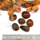 Carnelian Tumble (Vitality and Creativity)