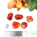 Carnelian Tumble (Vitality and Creativity)