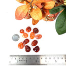 Carnelian Tumble (Vitality and Creativity)