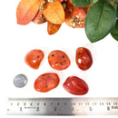 Carnelian Tumble (Vitality and Creativity)