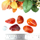 Carnelian Tumble (Vitality and Creativity)