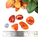 Carnelian Tumble (Vitality and Creativity)