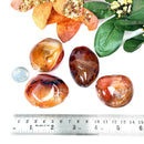 Carnelian Tumble (Vitality and Creativity)