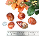 Carnelian Tumble (Vitality and Creativity)