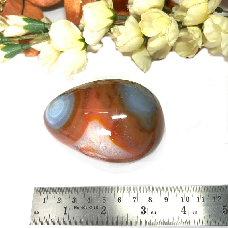 Carnelian Egg (Creativity)