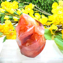 Carnelian Twisted Flames (Energy & Passion)