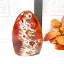 Carnelian Polished Flames (Creativity & Passion)