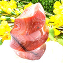 Carnelian Twisted Flames (Energy & Passion)