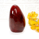 Carnelian Free Forms (Creativity & Passion)