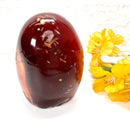 Carnelian Free Forms (Creativity & Passion)