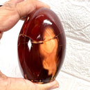 Carnelian Free Forms (Creativity & Passion)