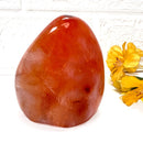 Carnelian Free Forms (Creativity & Passion)
