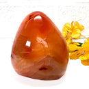 Carnelian Free Forms (Creativity & Passion)