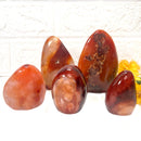 Carnelian Free Forms (Creativity & Passion)