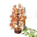 Carnelian Tree (Creativity & Passion)