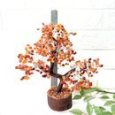 Carnelian Tree (Creativity & Passion)