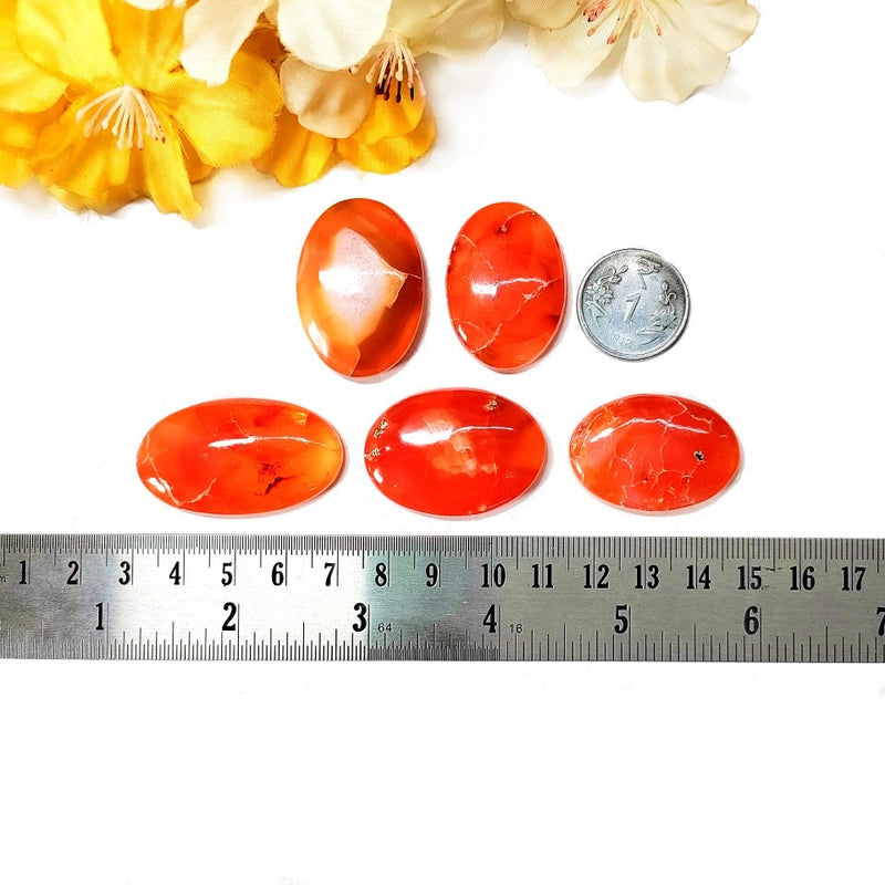 Carnelian Cabochon (Creativity & Passion)