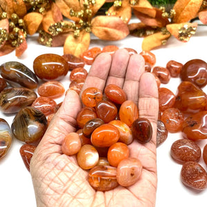 Carnelian Tumble (Vitality and Creativity)