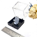 Celestite Mineral from Madagascar