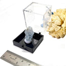 Celestite Mineral from Madagascar