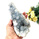 Celestite Cluster (Astral Travel and Intuition)