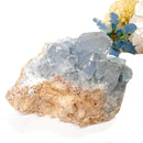 Celestite Cluster (Astral Travel and Intuition)