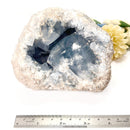 Celestite Cluster (Astral Travel and Intuition)