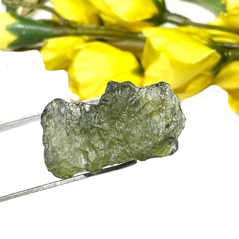 Moldavite Rough (Spiritual growth & Abundance)