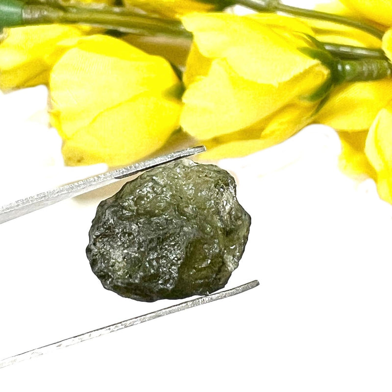 Moldavite Rough (Spiritual growth & Abundance)