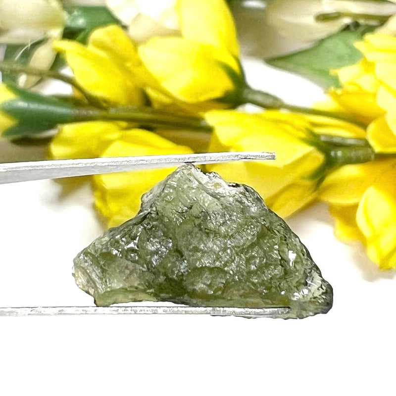 Moldavite Rough (Spiritual growth & Abundance)