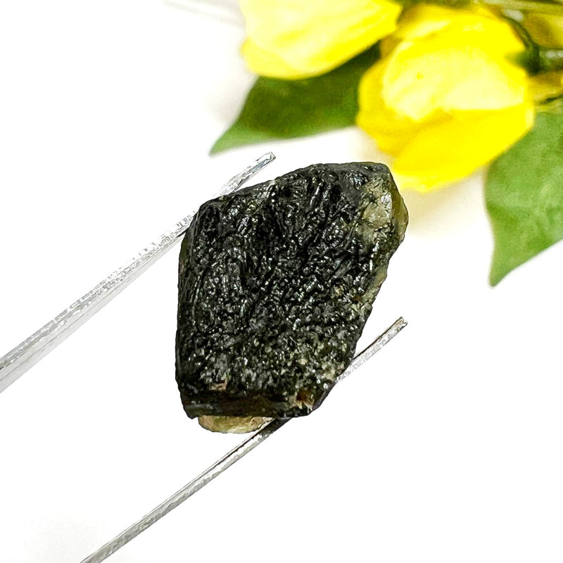 Moldavite Rough (Spiritual growth & Abundance)