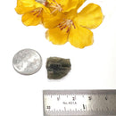 Moldavite Rough (Spiritual growth & Abundance)